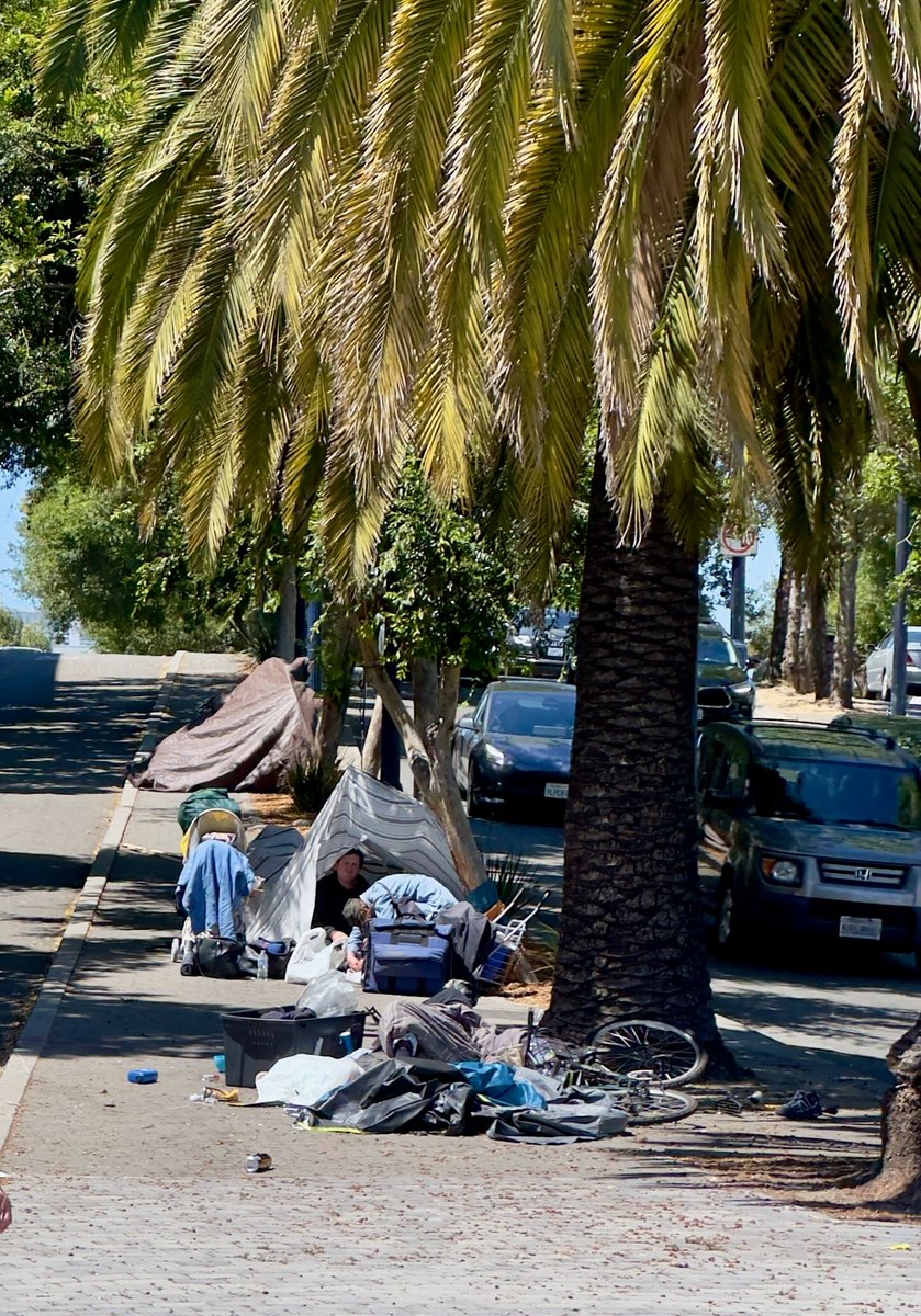 Current scene
⛺️⛺️⛺️ Hayes Valley
Octavia at Market