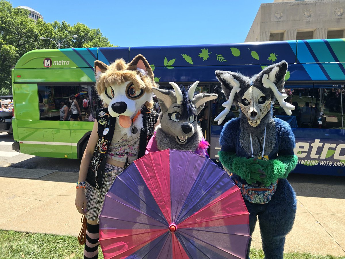 Rae_the_drolf's tweet photo. Had an awesome time at #STLPride!! Got to see old friends and meet new ones! ๐ณ๏ธโ๐๐
#furry #fursuit #fursuiter #FursuitEveryday https://t.co/Mzri4on9Zq