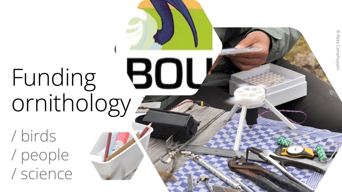 BOU 👩🏻🏫👨🏿🏫🧕🏽👳🏽♂️ 🌈 (@ibis_journal) on Twitter photo 📢 FUNDING OPPORTUNITY
Applications now open for our Small Research Grants and Career Development Bursaries
Funding #ornithology around the globe
Deadline: 31 October 2024
➡️ Research Grants: bou.org.uk/funding/small-…
➡️ Bursaries: bou.org.uk/funding/career… 📢 FUNDING OPPORTUNITY
Applications now open for our Small Research Grants and Career Development Bursaries
Funding #ornithology around the globe
Deadline: 31 October 2024
➡️ Research Grants: bou.org.uk/funding/small-…
➡️ Bursaries: bou.org.uk/funding/career…