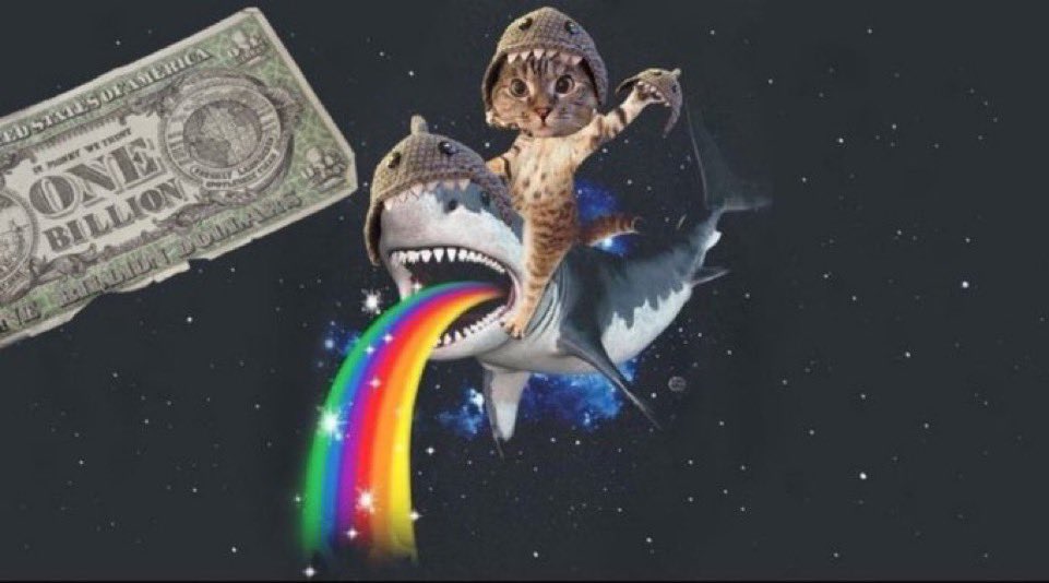 achilleswifhat's tweet photo. @blknoiz06 $50-$100M 

The cat that’s also a mf shark 

$SC https://t.co/GtSAWtZP1s
