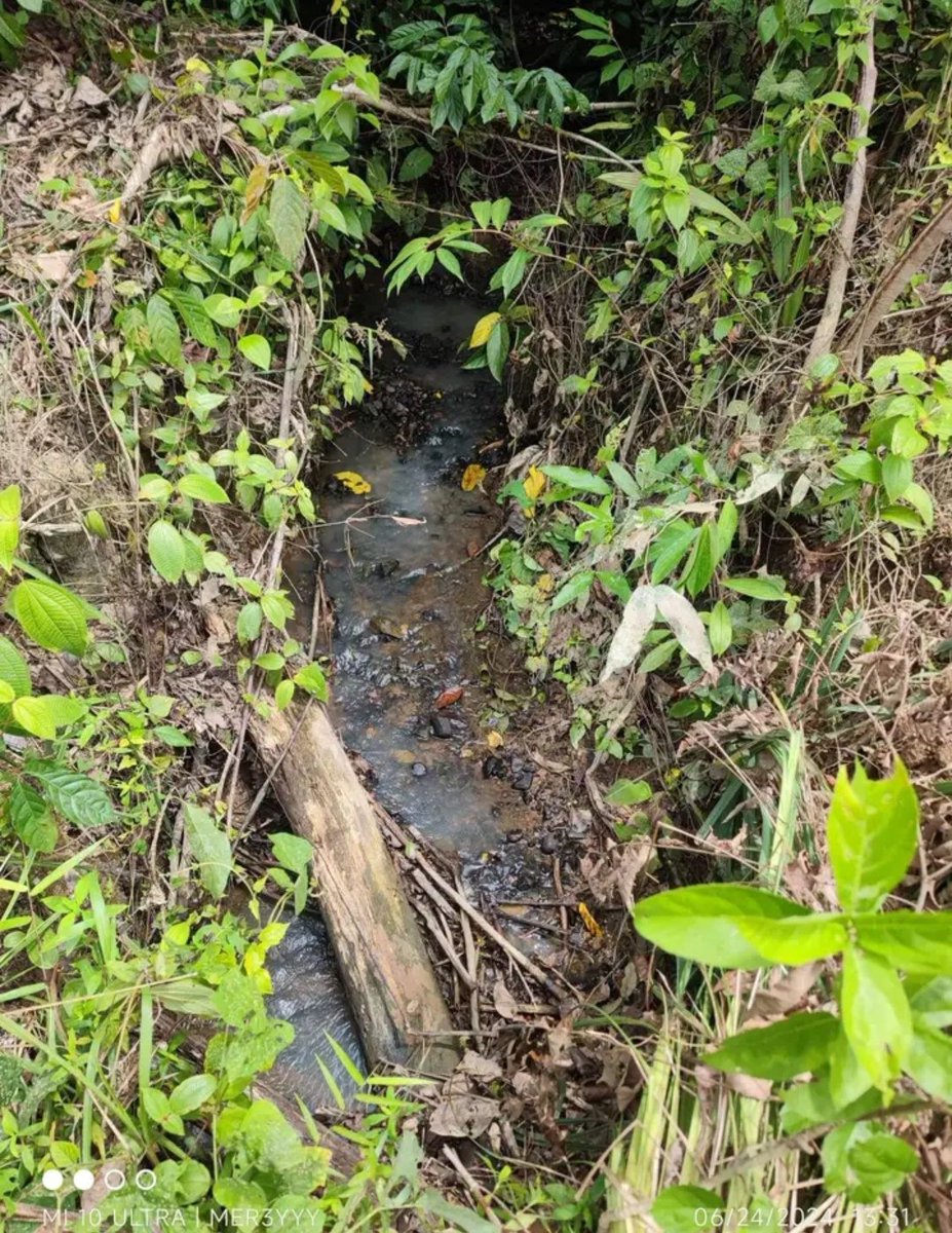 Diamond9507's tweet photo. Tanah untuk dijual di Sungai Tias, Kuala Krai, KELANTAN‼️
1 LOT, 2 EKAR
Nak jual 2 Lot.
Harga 95K/Lot.

☎️ Boleh contact utk pertanyaan 
Imran - 0️⃣1️⃣2️⃣9️⃣7️⃣8️⃣2️⃣9️⃣5️⃣6️⃣

https://t.co/2ddkoIXFeY https://t.co/gZ8cjemTFD