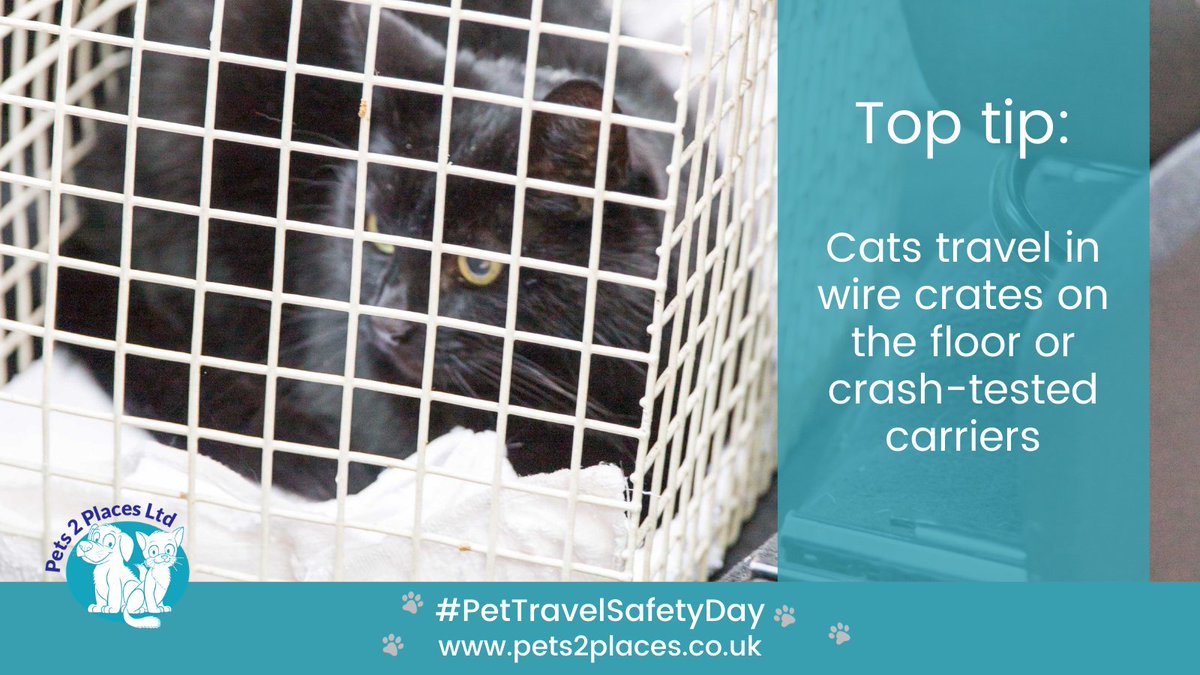 #pettravelsafetyday #pettravelsafetydayUK #pets2places #pets2placespontefract #pettravelsafetyday2024