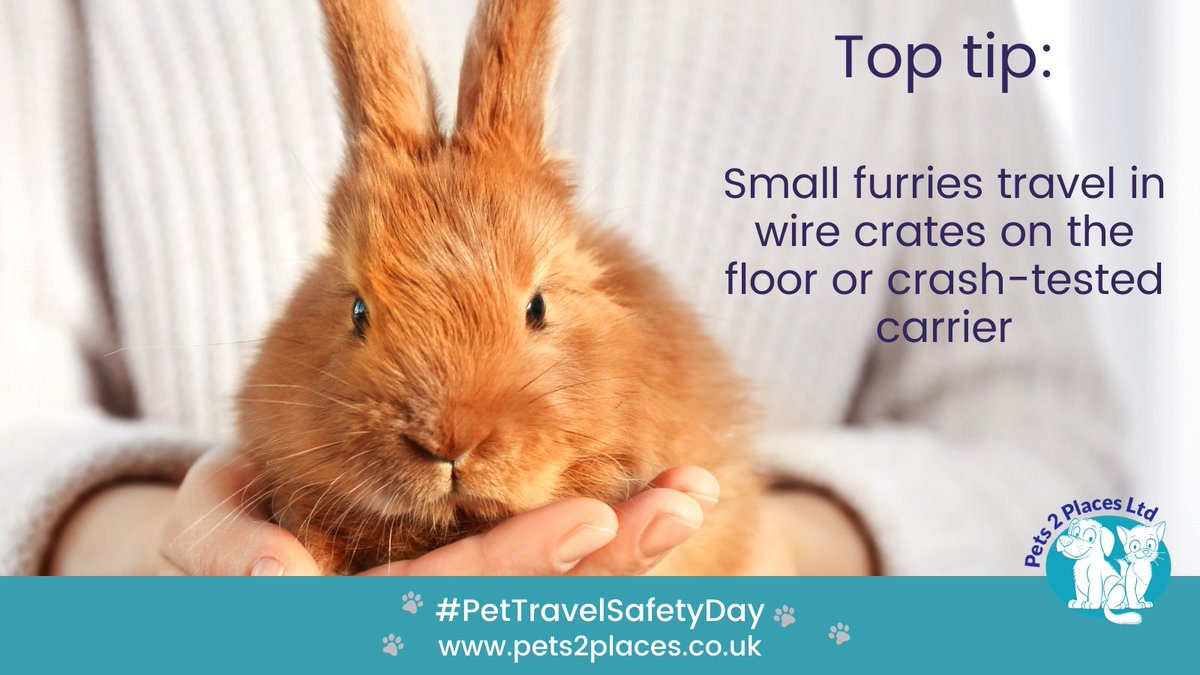 #pettravelsafetyday #pettravelsafetydayUK #pets2places #pets2placespontefract #pettravelsafetyday2024