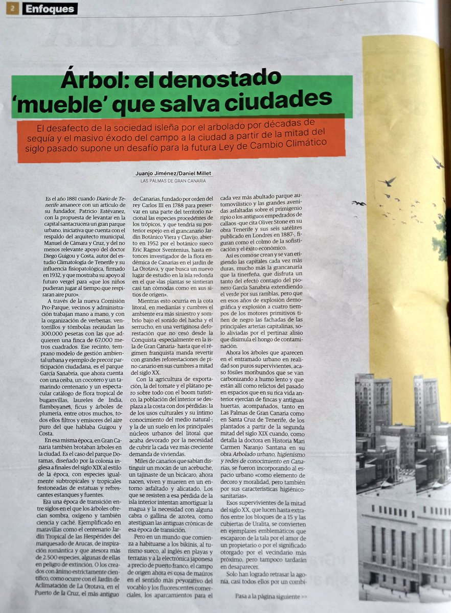 StopArboricidio's tweet image. Excelente artículo de @laprovincia_es que hace un recorrido histórico sobre los arboricidios en Canarias y especialmente en @AyuntamientoLPA, donde habría que aumentar un 112% el n° de árboles para cumplir la &quot;Ley del Cambio Climático&quot;.