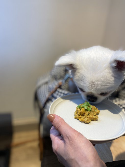 愛犬と中目黒カフェへ😆マンダリンブラザーズはワンコグッズが豊富だしワンコメニューだってある🐻&zwj;❄️🐼 https://t.co/d1vBZK9Kih<a href="/tag/tae"class="tags"><span>#tae</span></a><a href="/tag/maki_tomoda"class="tags"><span>#maki_tomoda</span></a><a href="/tag/yuu_kawakami"class="tags"><span>#yuu_kawakami</span></a><a href="/tag/andu072"class="tags"><span>#andu072</span></a>