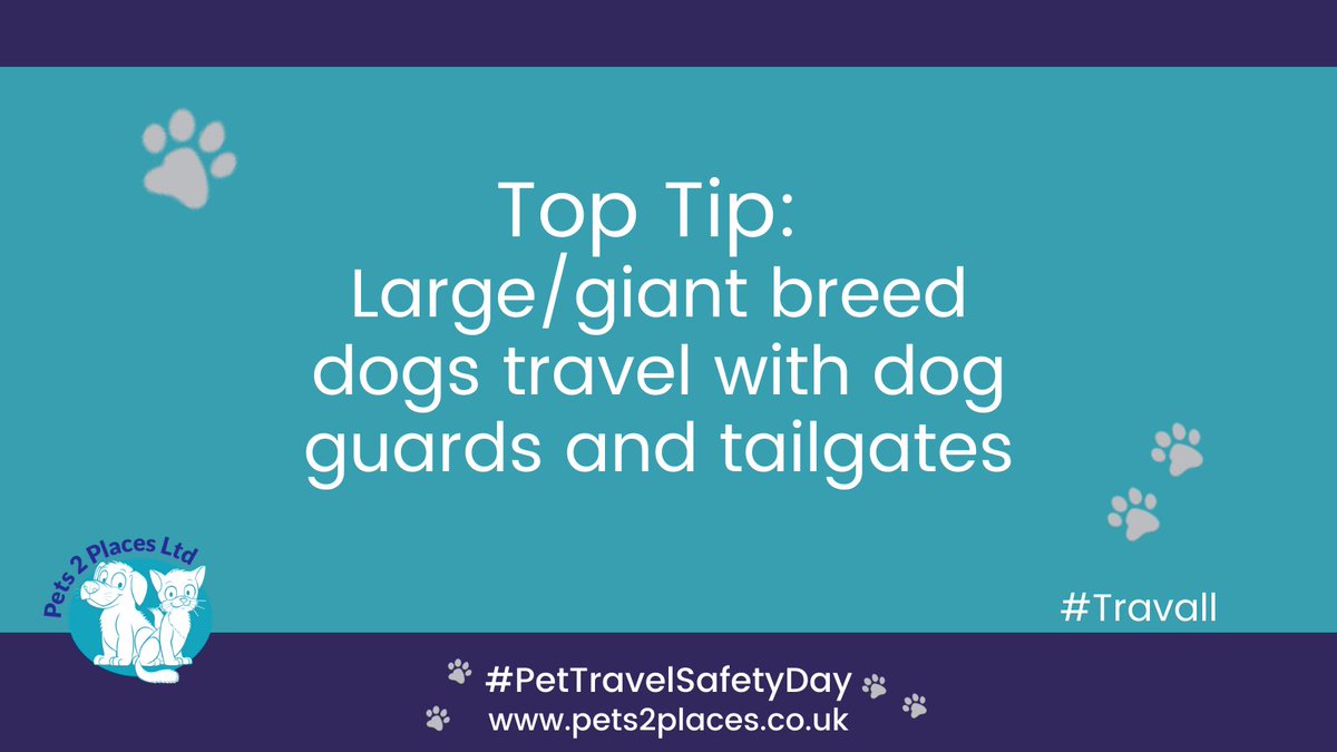#pettravelsafetyday #pettravelsafetydayUK #pets2places #pets2placespontefract #pettravelsafetyday2024