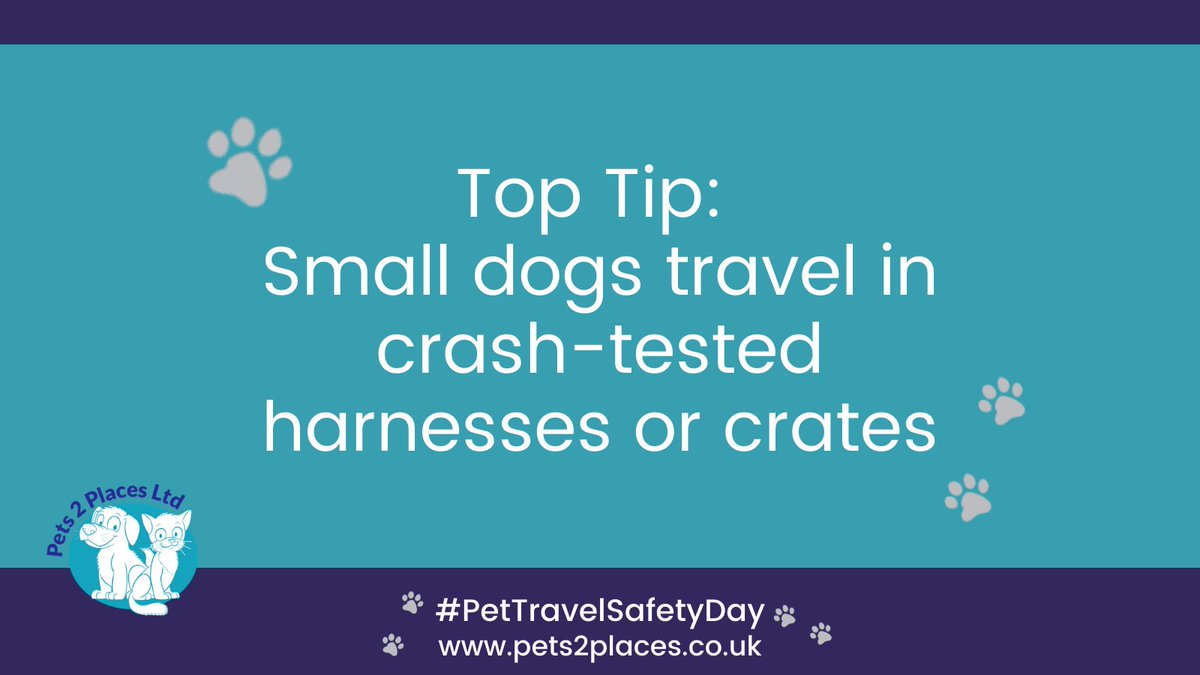 #pettravelsafetyday #pettravelsafetydayUK #pets2places #pets2placespontefract #pettravelsafetyday2024