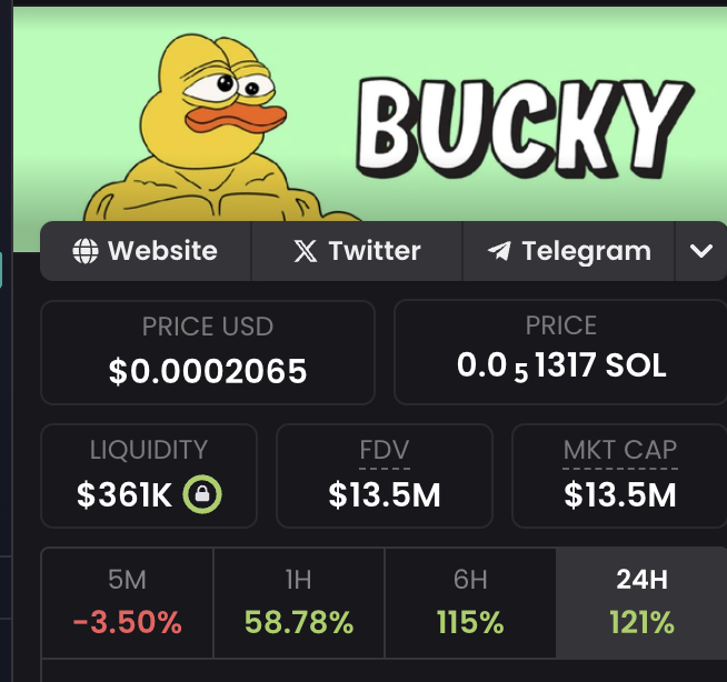 What a BEAUTIFUL comeback for $BUCKY!

When I first called it at 8m it ran fast but then went down.

A few days later, after all the weak hands stopped dumping and jeeting it - the MC started climbing up FAST.

Now $BUCKY is back at $14mil, almost 2x higher than our entry.

Chads
