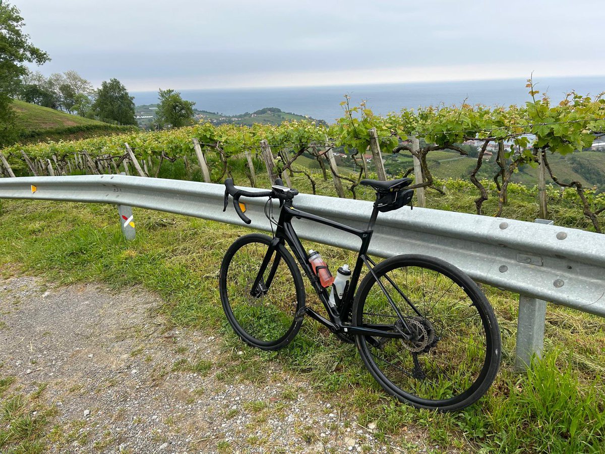 BasqueCycleEsc's tweet image. The views from the #txakoli vineyards above Getaria are stunning. The guests on a recent Basque cycling escape enjoyed a wine tasting at @B_gaintza after a great day out on the bikes.

#basquecountry #cyclingholidays #winetasting #guipuzcoa