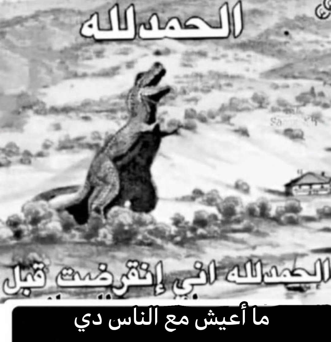 𝙝𝙖𝙢 ✰ tweet media