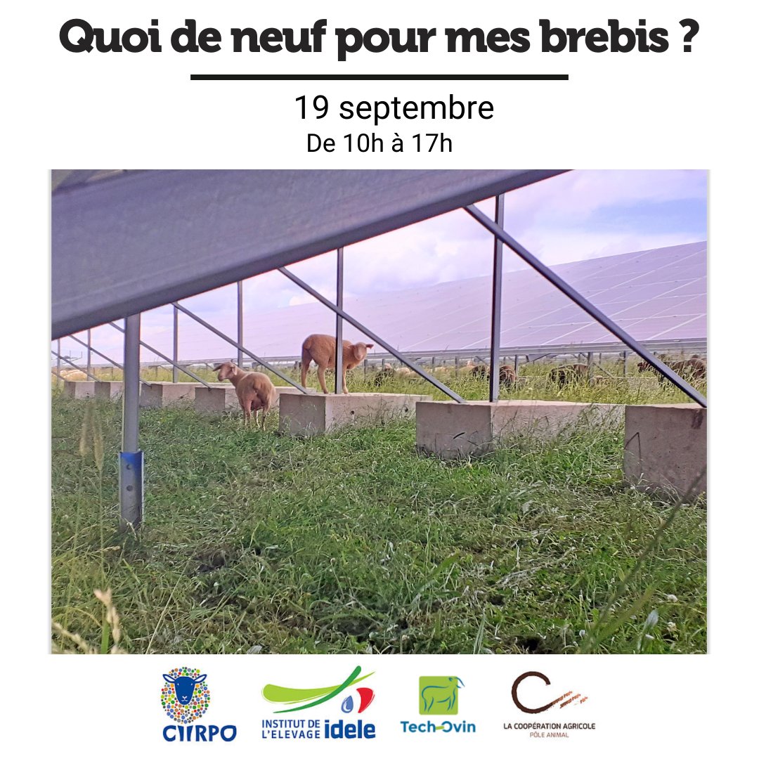 Institut de l'élevage - Idele tweet media