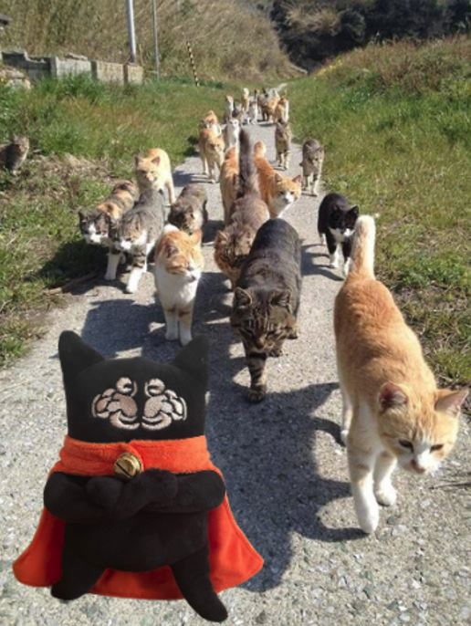 🔥 Büyük Buluşma 🔥

<a href="/DoraKedisi/">Dora Kedisi🐈 - $DORA</a> ve çetesinin yıllık toplantısı

- Toplantı alanına giderken

<a href="/DoraHacks/">DoraHacks</a> <a href="/DoraFactoryTR/">Dora Factory TR🇹🇷</a>