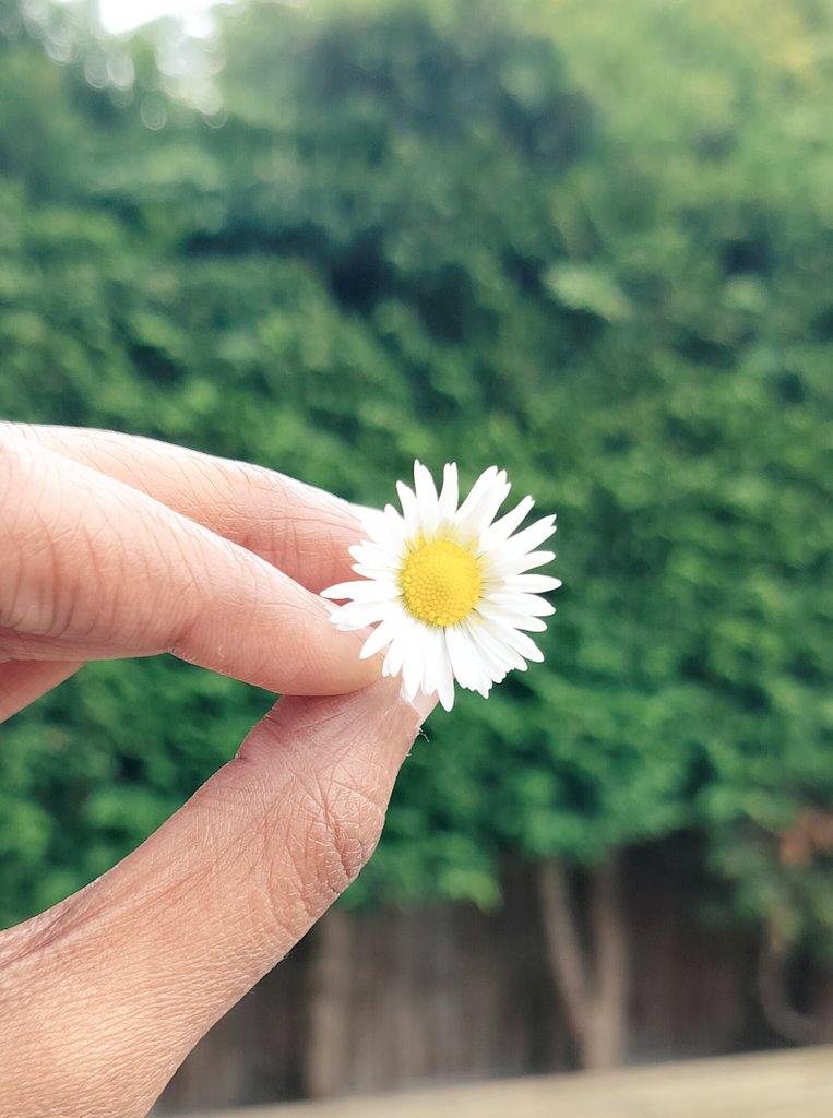 Jothi PM tweet media