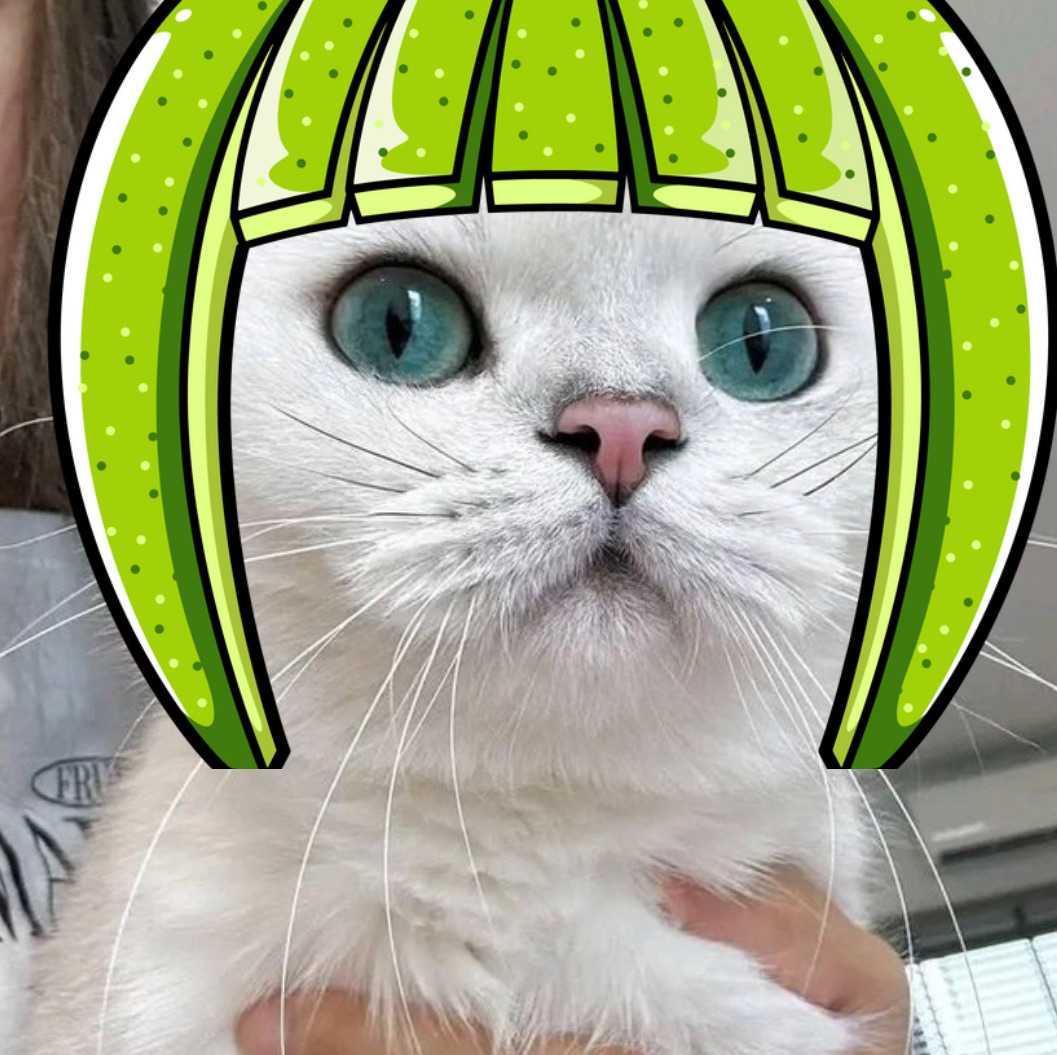 kinglimecat's tweet photo. No caption needed.
All cats can be #limecat
All humans too ๐ป
You can #limeup yourself or your cat on our website kinglimecat dot com (link in bio) or with filters on snapchat and Tiktok.
#solana #web3 #memecoin $SOL $LIME https://t.co/QHsoiTLsSC