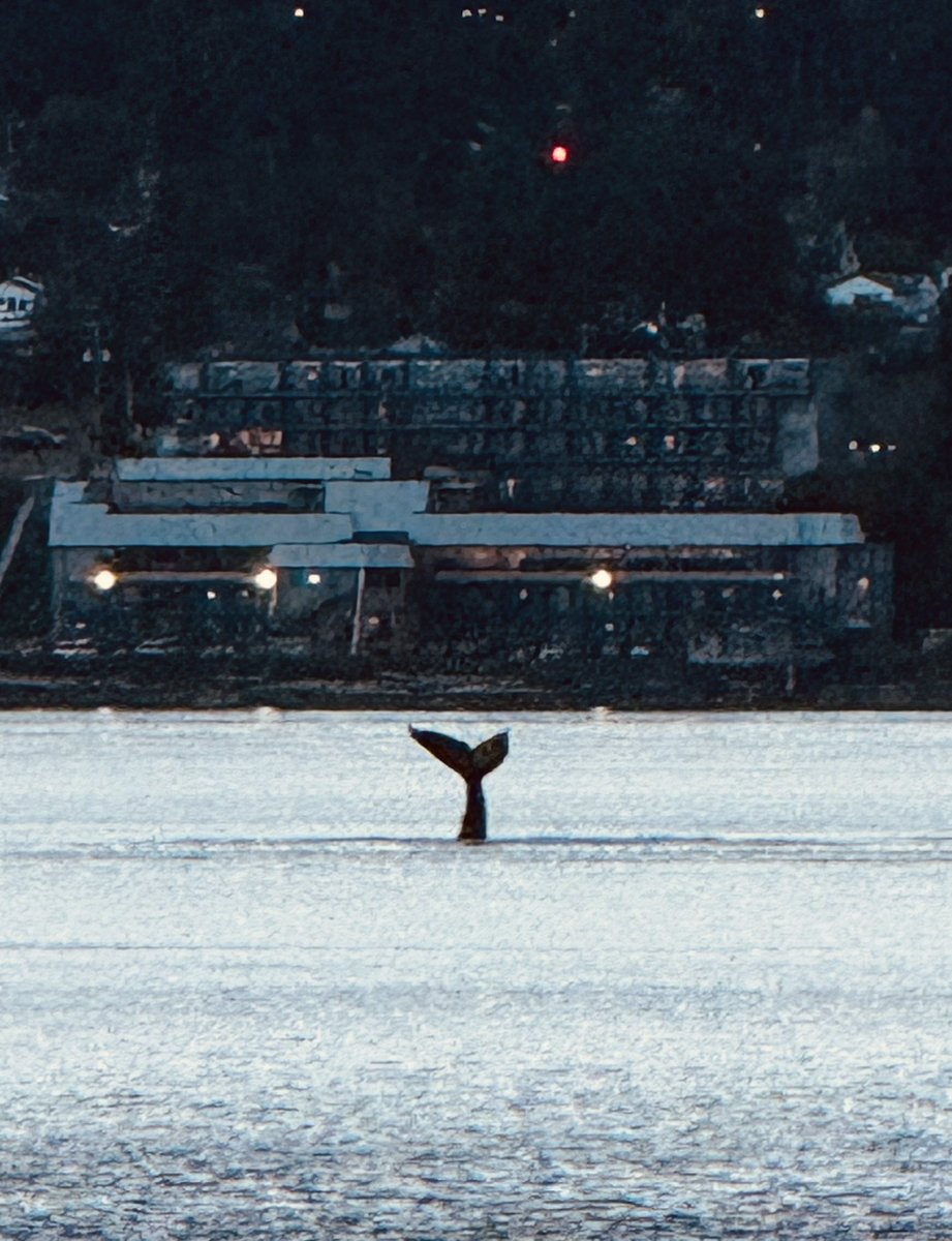 Jody Wilson-Raybould (JWR), PC, OBC, KC 王州迪 tweet media