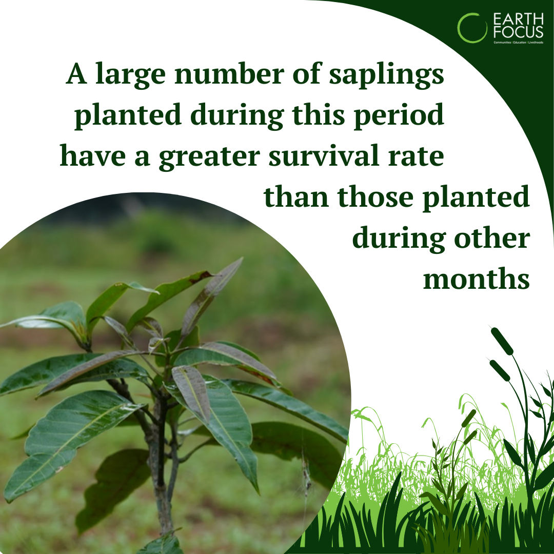 effkanha's tweet photo. Why choose these dates in particular? The answer is more ecologically intuitive than you think!

#LearnWithEFF https://t.co/2dZLz213h1