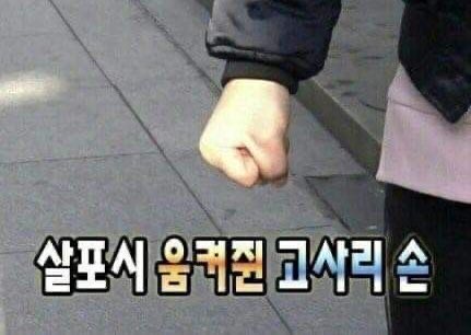 k0ojl's tweet photo. 악플을 참을 수 없다 . . . https://t.co/h9jzn12iYZ