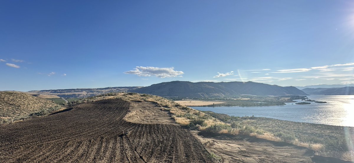 MattGinella's tweet photo. Back “in the dirt” documenting the new course at Gamble (name TBD). They have 14 holes finished and grassed with holes 10, 11 (pictured), 12 and 13 still in progress. Kidd arrives tomorrow to consult with Nick Schaan, his partner, for one more review.

Also pictured: 9, 15 and 16.🔥

We’re back here for a Bonfire in October. Sign up now: https://t.co/foimmSMnhX