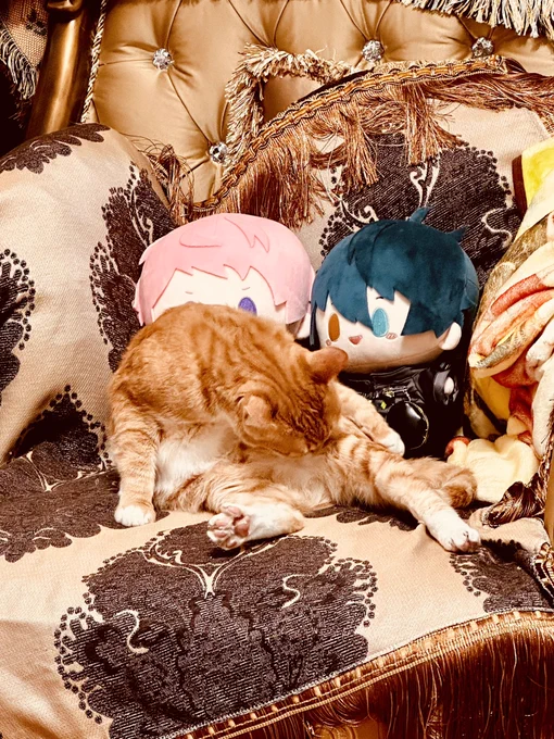 おっきくてかわいい…