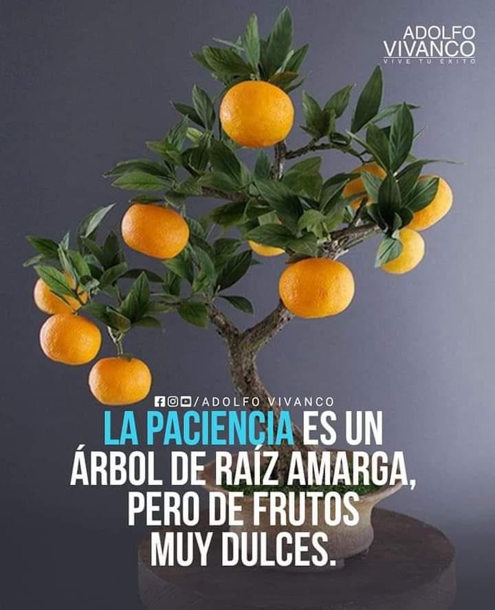 Chapucero_'s tweet photo. Paciencia… https://t.co/q2n1gwweyn