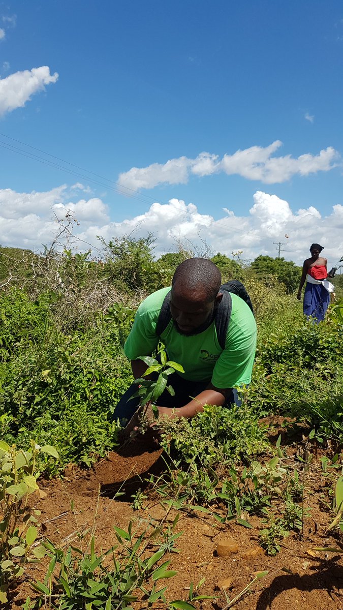 jrtole's tweet photo. Great Week Engaging The Community in Tree and Mangroove Planting focusing on creating awareness for protecting natural resources. https://t.co/mXPNrVzqwK
