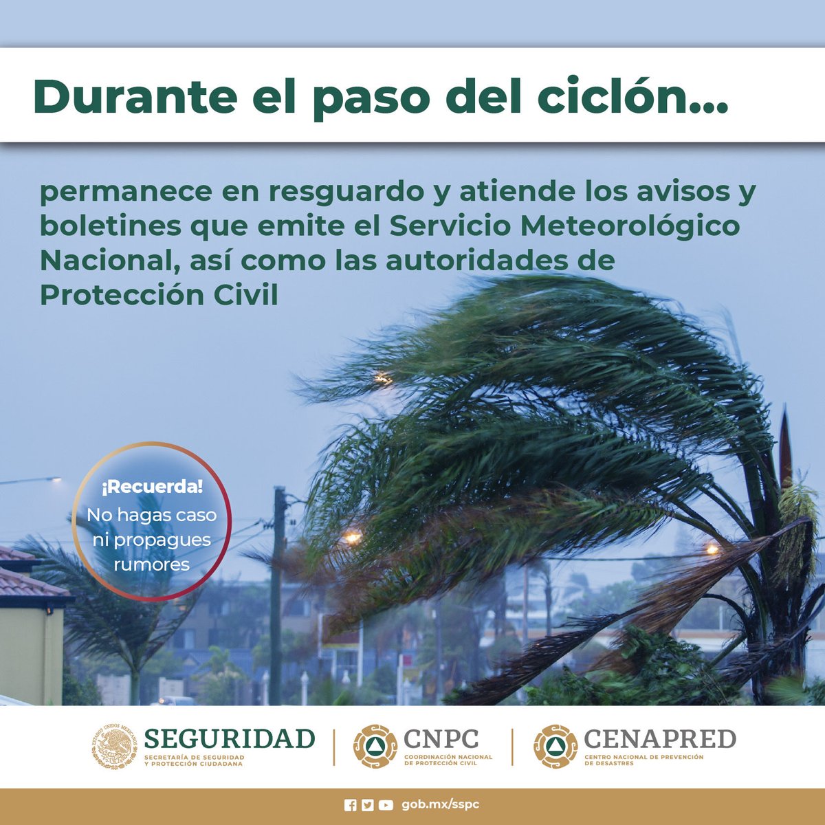 CNPC_MX's tweet photo. La #TormentaTropical #Chris se encuentra en tierra sobre municipios de Veracruz: 
 
🍃No te confíes de la calma momentánea durante su paso🚨No intentes cruzar calles inundadas; las avenidas pueden convertirse en ríos caudalosos
📻Ten a mano una linterna y radio de baterías https://t.co/Iz8fcb2FXL