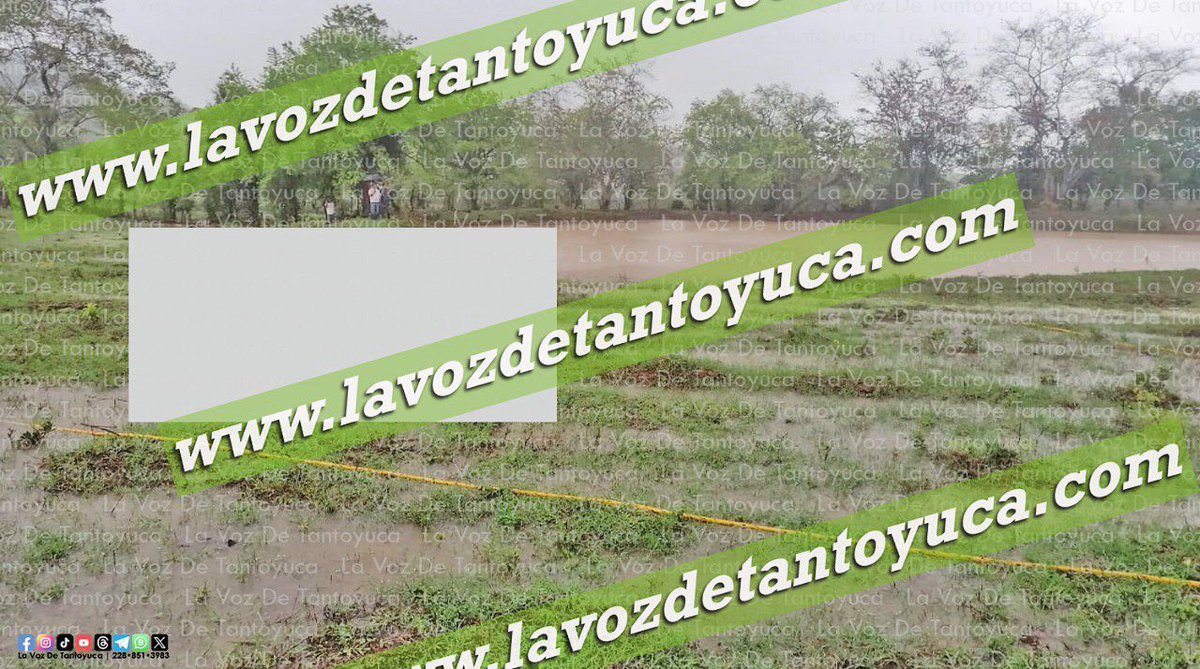LaVozdeTantoyuc's tweet image. 🟥#SEGURIDAD ll Mu.-ere niño ah0.gad0 en una presa en Tantoyuca

𝐋𝐨𝐬 𝐝𝐞𝐭𝐚𝐥𝐥𝐞𝐬 𝐚𝐪𝐮𝐢́:👇
lavozdetantoyuca.com/99130.html/

#CODEP #InnovandoLaManeraDeHacerPeriodismo #UnaNuevaGeneraciónEnPeriodismo #LaVozDeTantoyuca #México #Veracruz #Tantoyuca