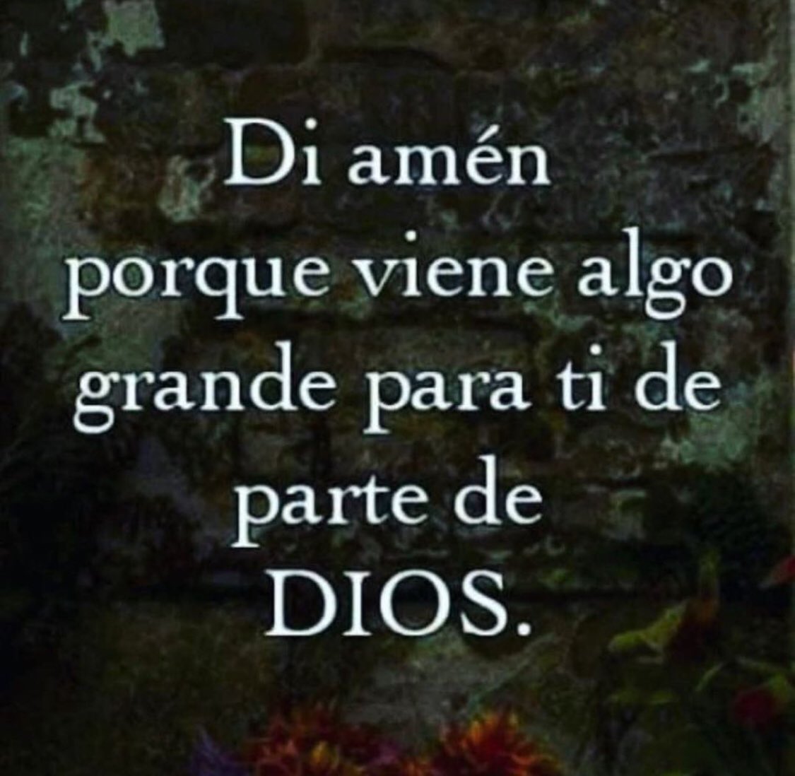 PADRE BUENO,gracias por estar conmigo un día más, y darme la oportunidad de  vivir un nuevo amanecer,y que yo pueda comprender que sin ti la vida no  tiene sentido. PADRE SANTO,tu eres, image size:1125x1098