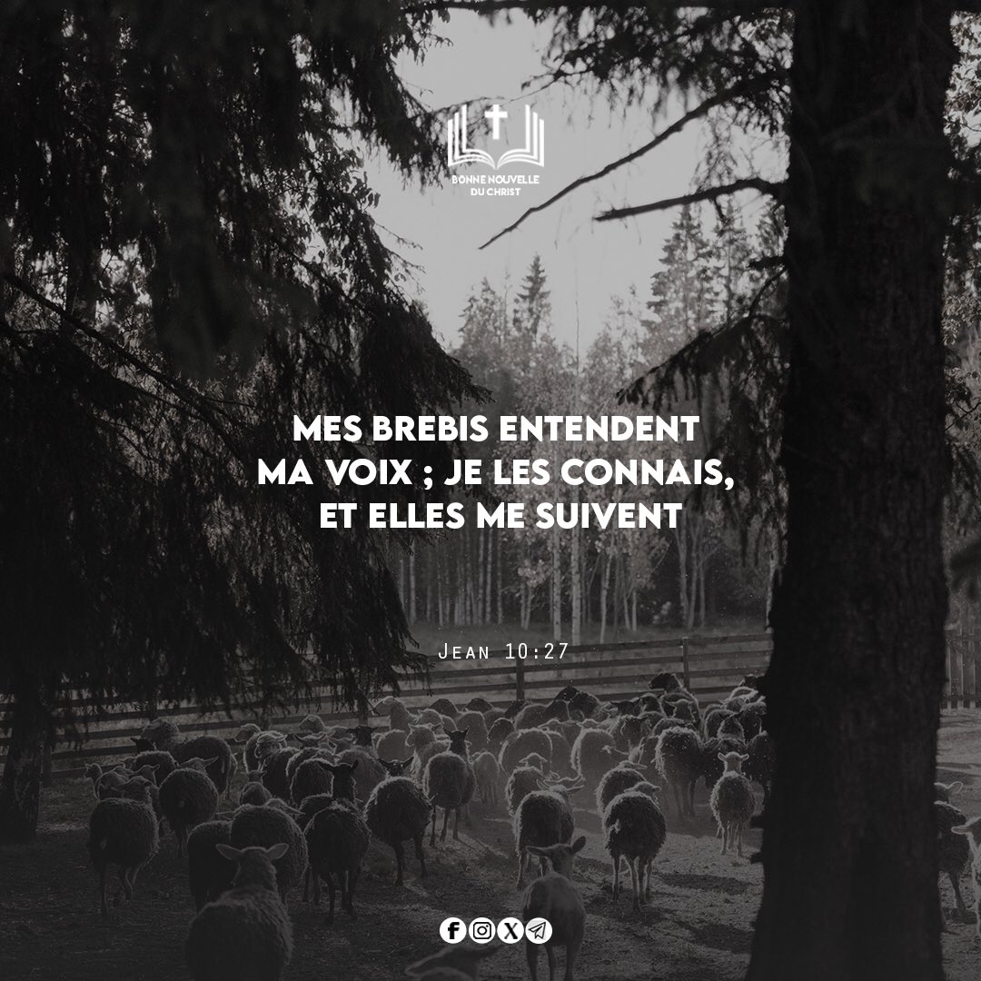 Bonne_Nouv's tweet photo. Bon début du mois en Jésus Christ
#BonneNouvelleDuChrist #Lundi #Juillet #Obéissance #Jésus_Christ #Fils_de_Dieu #Ecouter https://t.co/mlBP8gs3HL