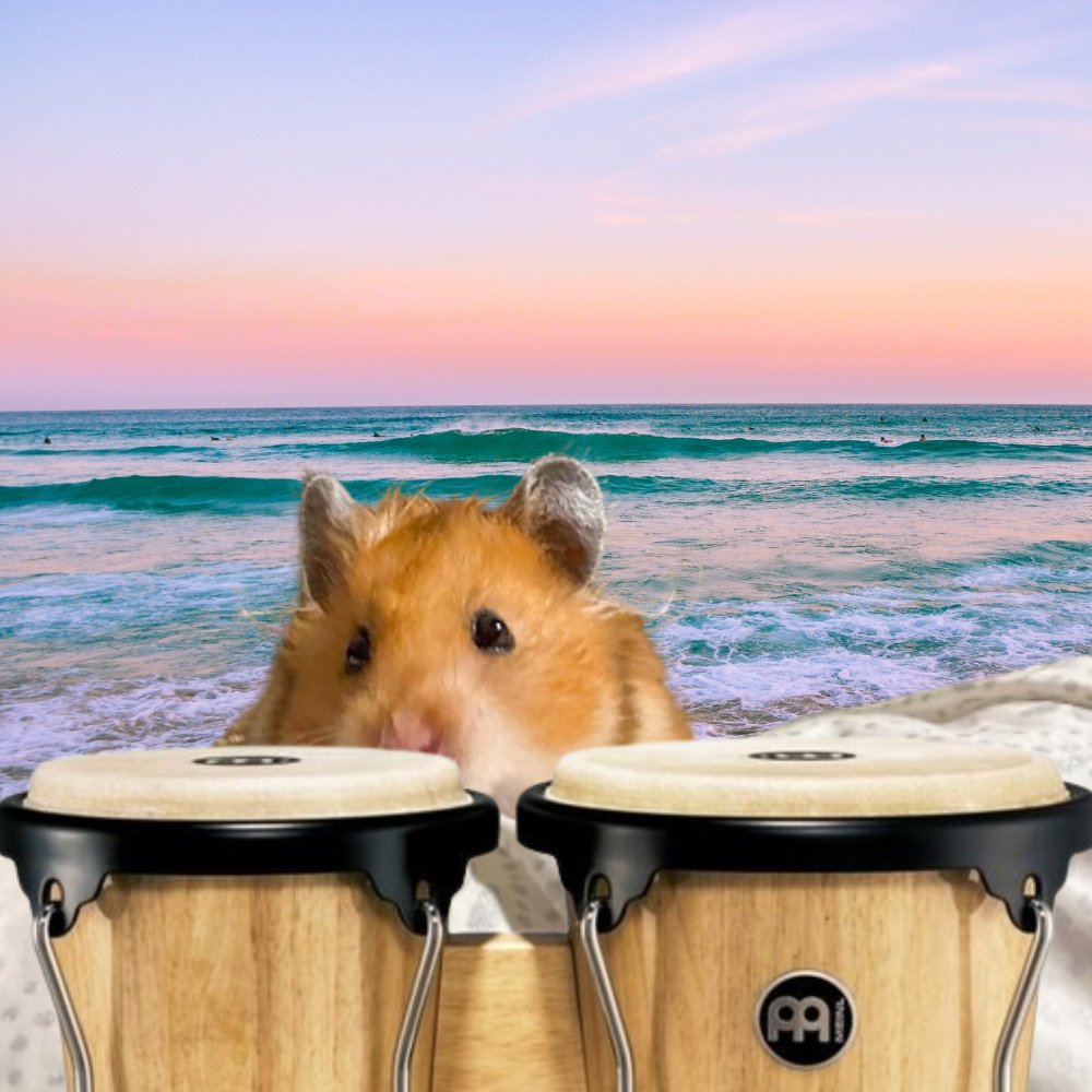 just playing some bongos by the beach

$BONGO