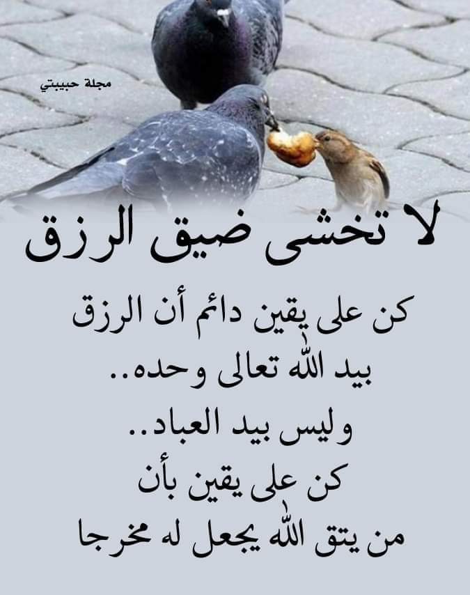 من يتقي  الله يجعل له مخرجاً ...💞  
#يااارب 
🌷🌿🌷🕊️💜
