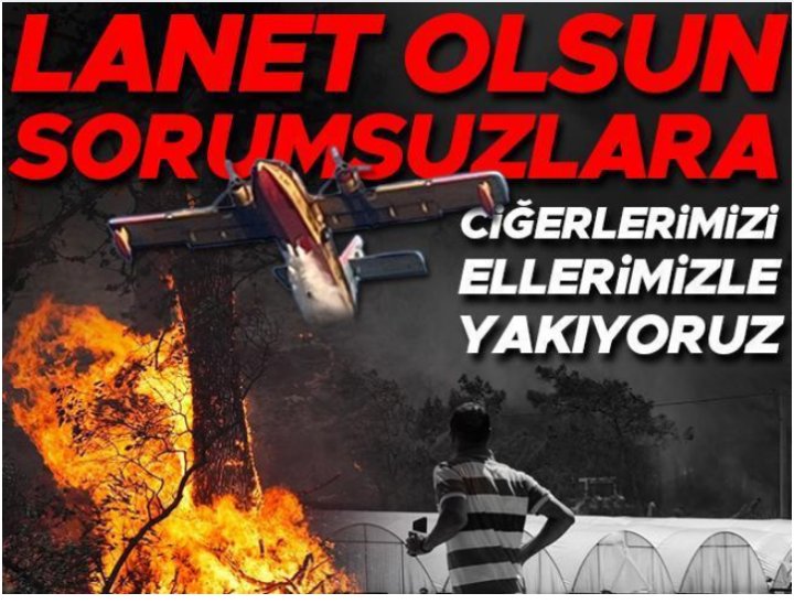 Öyle serzenişle isyanla olmaz bu iş. Milli servete zarar yasası koyacaksınız ve ona ağır de çok çok ağır cezalar vereceksiniz. Bilerek yapana ömürboyu, istemeyerek yapana da istemeyerek 15-20 yıl ver bak bakalım bir daha ormanın yanıyormu.Öyle her sene aynı tepki olmaz
