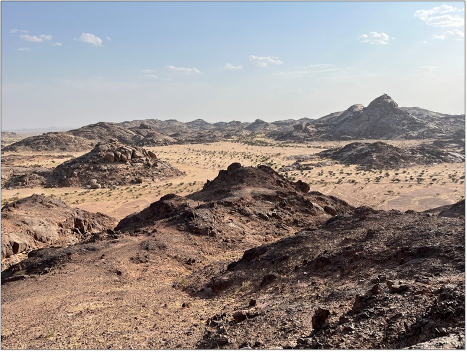 Power Metal Resources tweet media