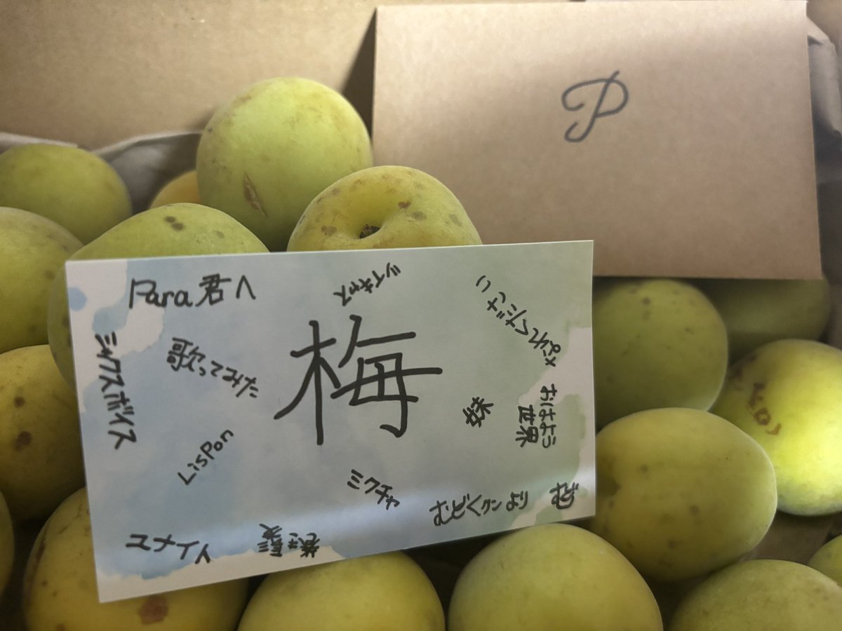 Para__2525's tweet photo. 今年も彼から梅が届きましたよと(՞ o̴̶̷̤  ̫ o̴̶̷̤ ՞) https://t.co/oIUybjNbSI