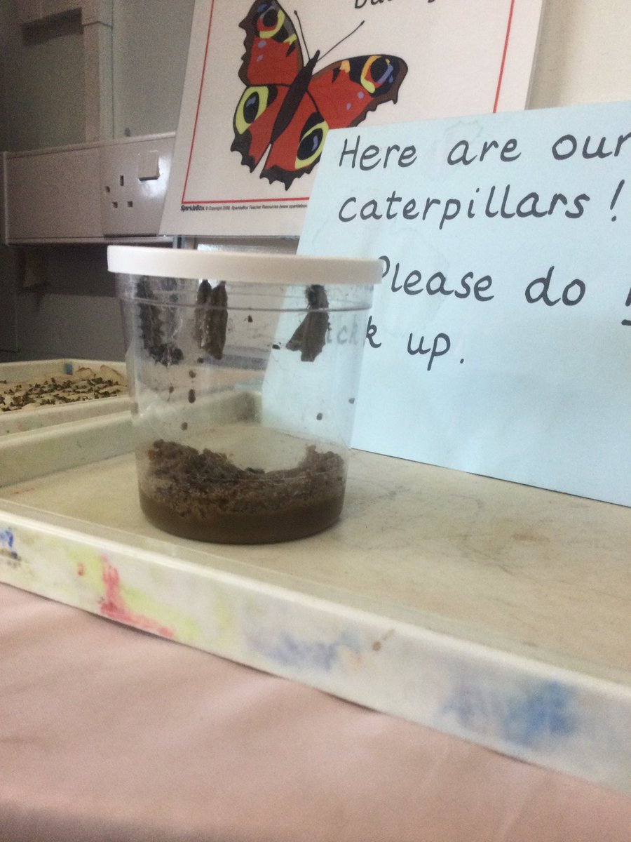 The caterpillars in reception have been busy over the weekend !