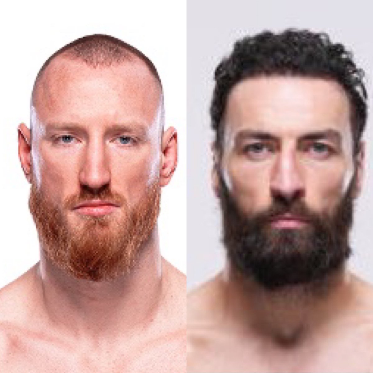 Kyle 🕺 tweet media