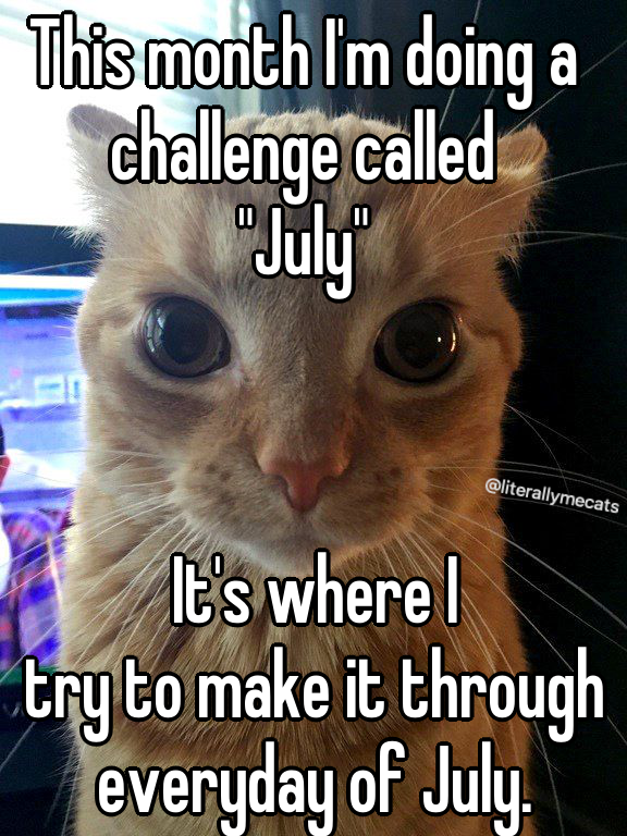 literallymecats's tweet photo. https://t.co/5rulScEgdt