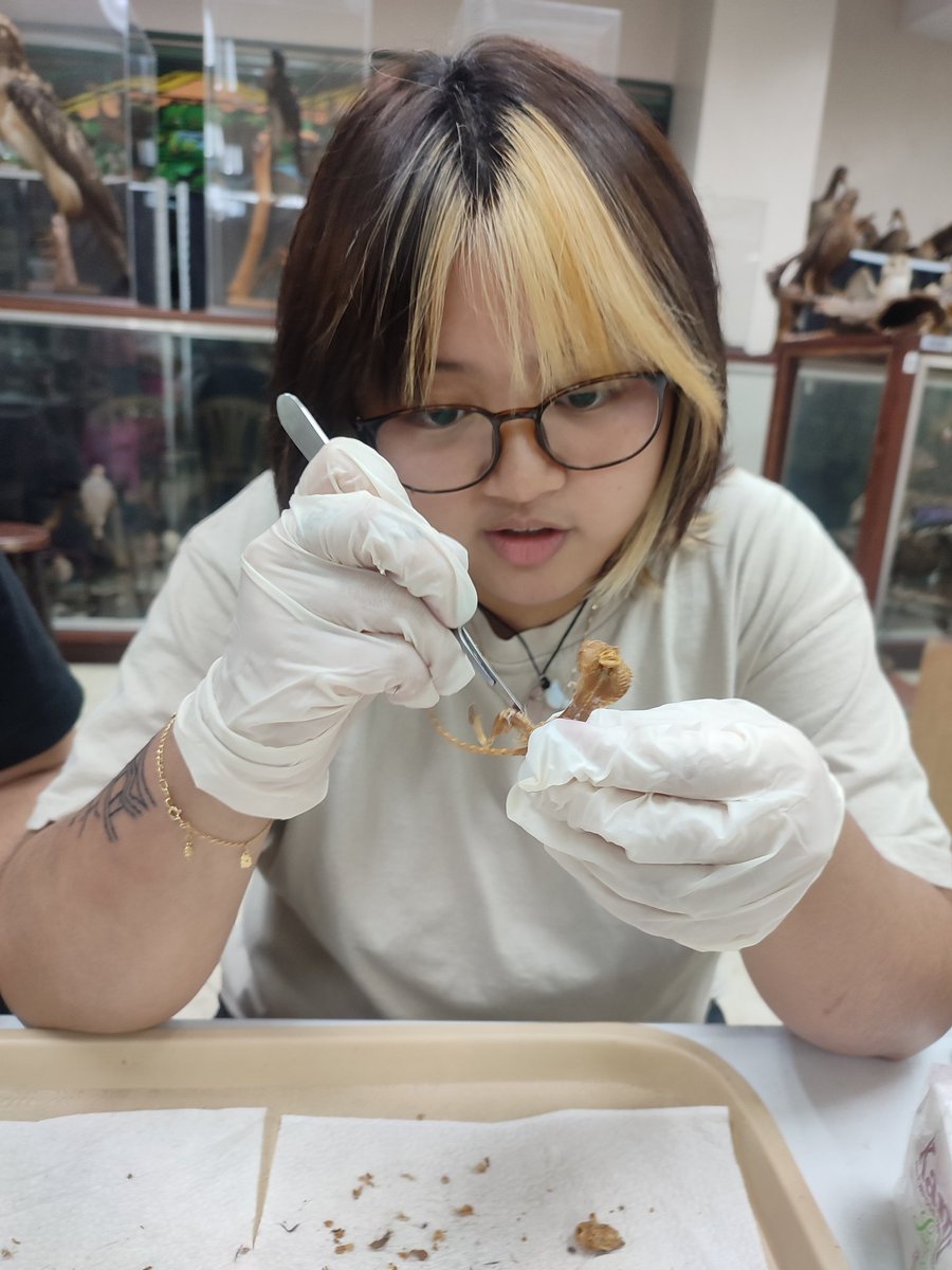 Last June 27, Dr. Rofes &amp; 2 Zooarchers received training from Mr.Paulo Kim of IB.We were taught how to dissect wet specimens which is essential to create skeletal reference collections. We are grateful to Dr. Aloy Duya &amp; the Biodiversity Research Laboratory for facilitating this!