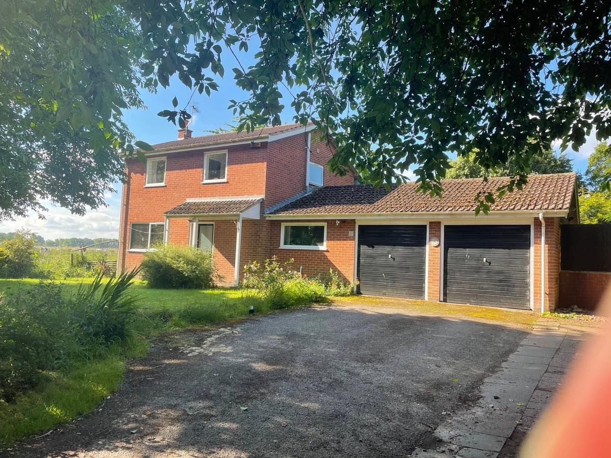 Oliver Hall tweet media