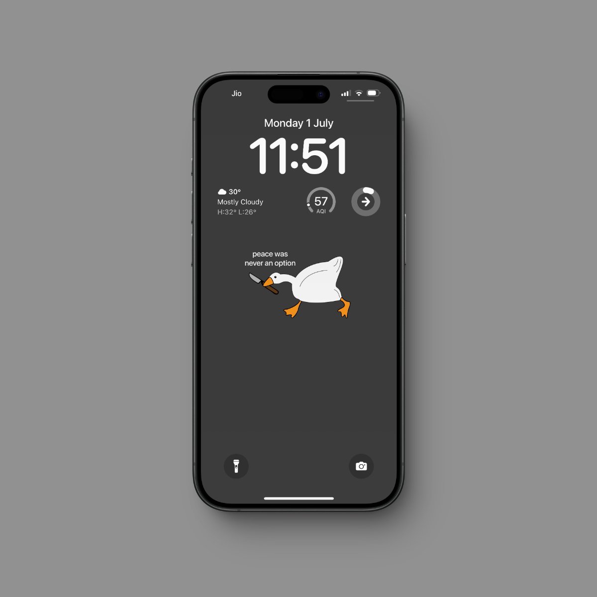 amaancg's tweet image. No Peace Duck .. 🦢🔪