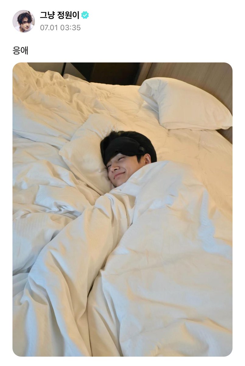 야옹즈 좋은 이유