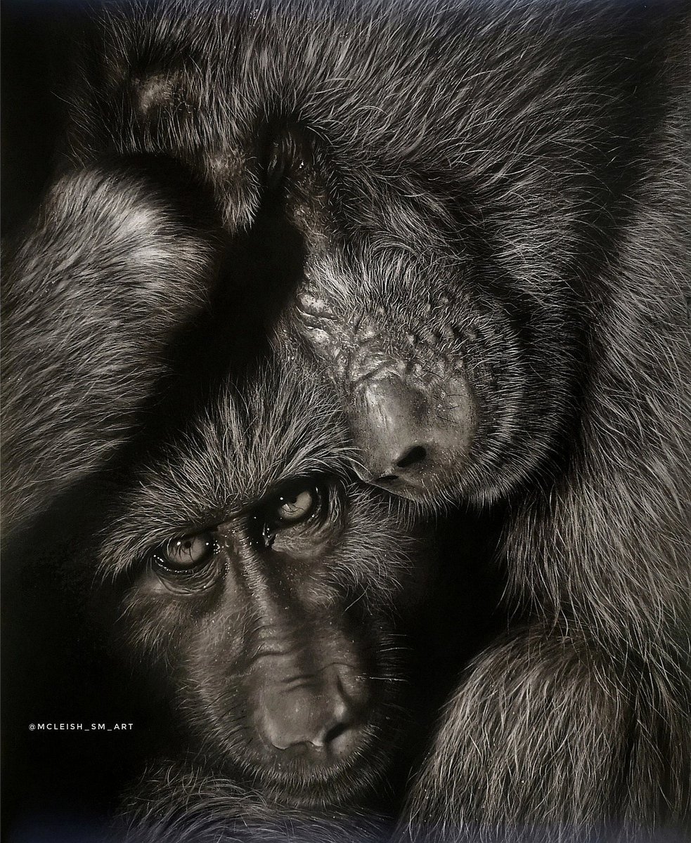 Look at this Pencil drawing carefully... Wat gives ut away as a drawing??