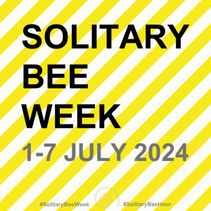 Although most people are aware of honeybees and bumblebees, solitary bees are often the unsung heroes of the pollinating world. There are estimated to be between 20,000-30,000 solitary bee species worldwide with over 240 species of solitary bee in the UK alone.
#SolitaryBeeWeek