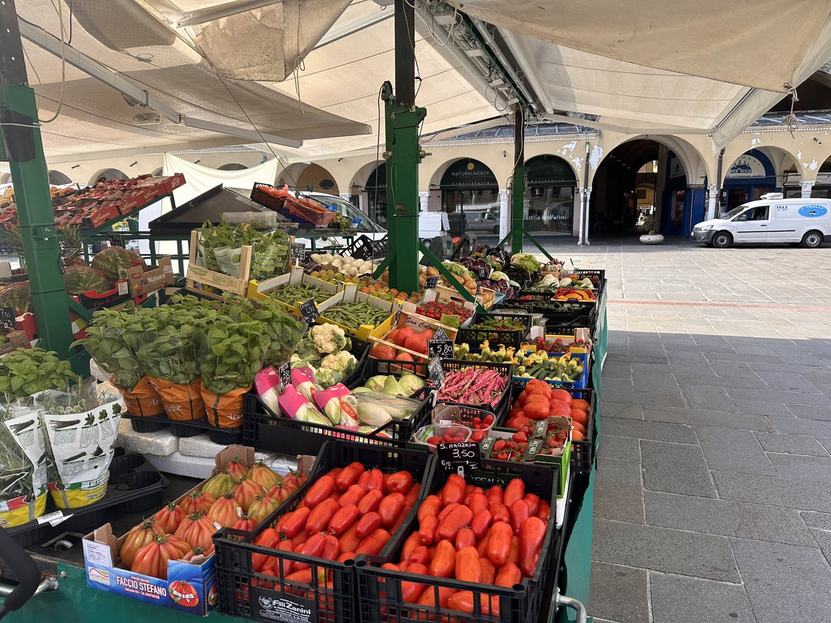 Micah G. Allen tweet media