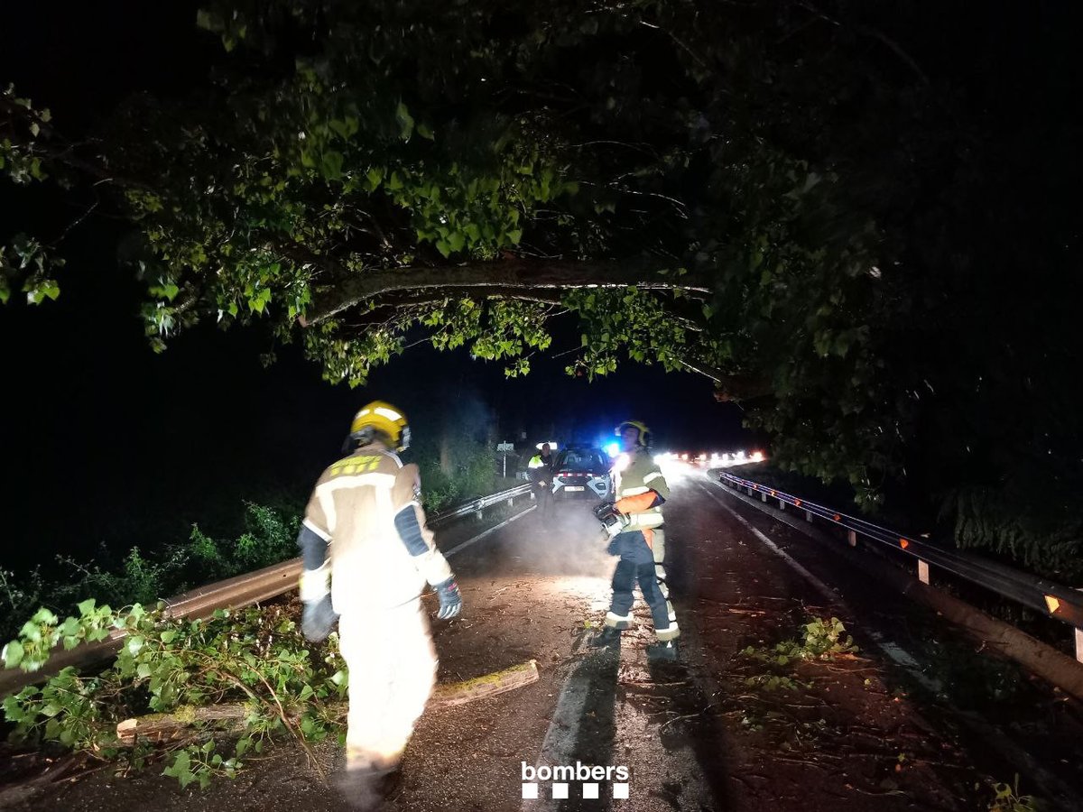 bomberscat's tweet photo. A la resta de regions, la majoria dels avisos han estat per caigudes d'arbres. Però, no hi ha cap servei destacat.
Avisos per pluja (de les 22h a les 9h):
#RELleida: 14
#REC: 3
#REGirona: 3
#REMN: 2
#RETarragona: 1
#RETerresEbre: 1
📸Servei d'aquest nit a la C-62, a Sagàs: https://t.co/HFPsQbMNdB