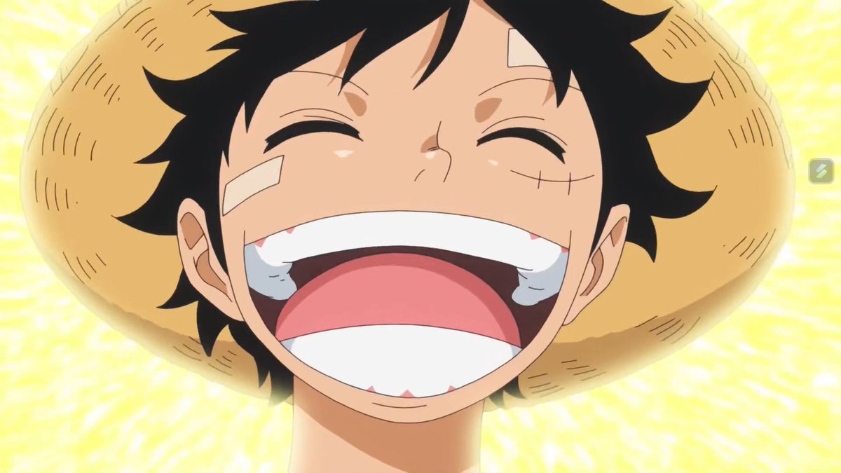 _anyabels's tweet photo. happy luffy https://t.co/fDzKFVEnPa
