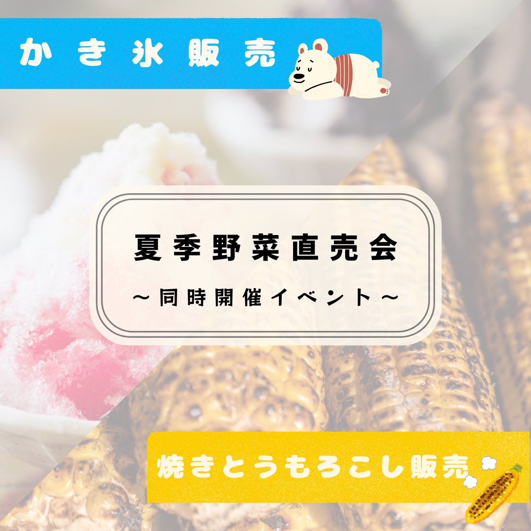 0goukan's tweet photo. こんにちは！直売会委員会です🍅
夏季野菜直売会では、かき氷・焼きとうもろこしの販売も行います🌽

ぜひお立ち寄りください😌 https://t.co/zSHoacw6yd