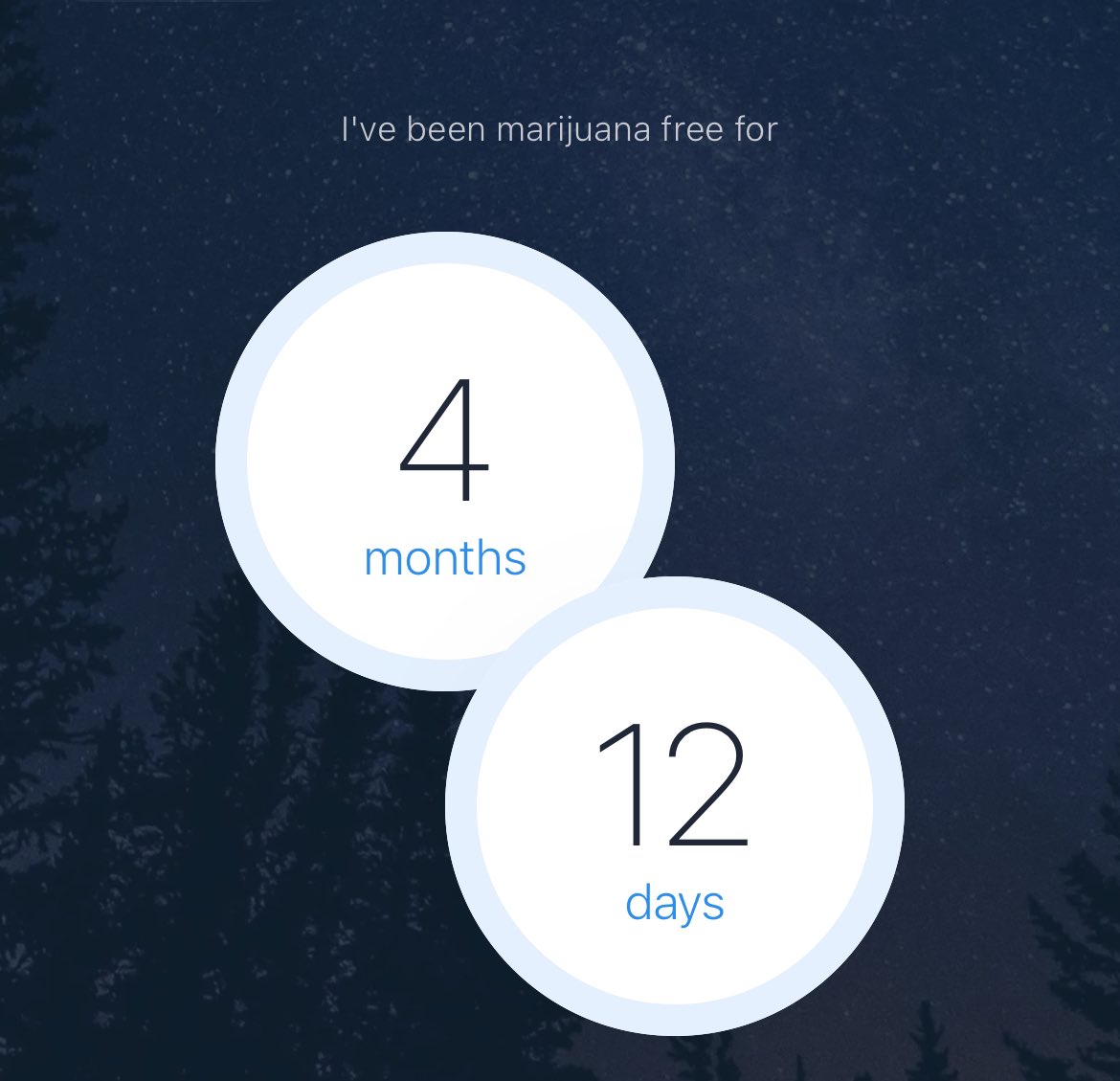 Tony Bodega tweet media