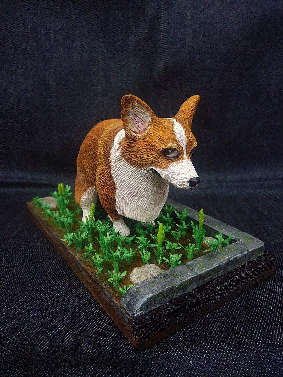JohnnyTheCorgi🇯🇵 on X: JohnnyTheCorgi🇯🇵 on X: