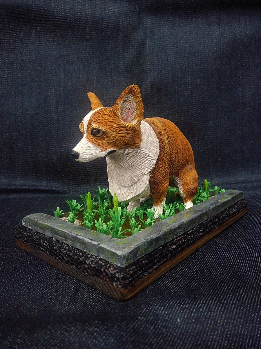 JohnnyTheCorgi🇯🇵 on X: JohnnyTheCorgi🇯🇵 on X: